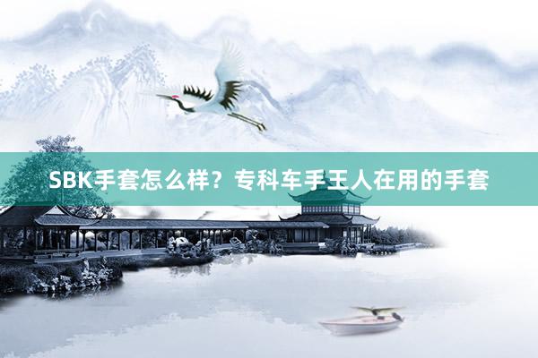 SBK手套怎么样？专科车手王人在用的手套